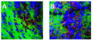 Fig. (3)