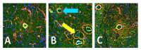Fig. (4)