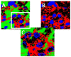 Fig. (6)