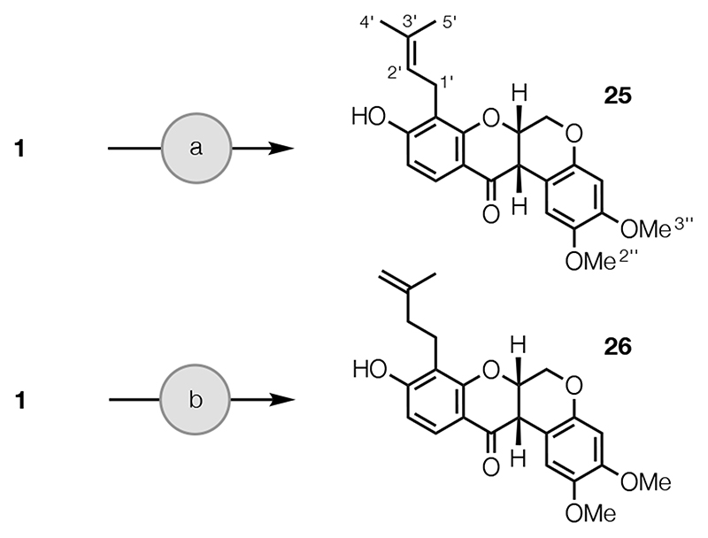 scheme 3