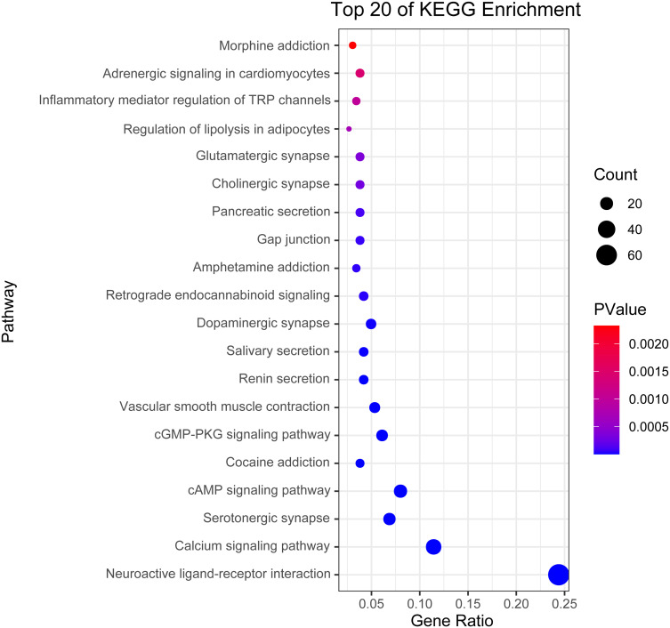 Figure 11