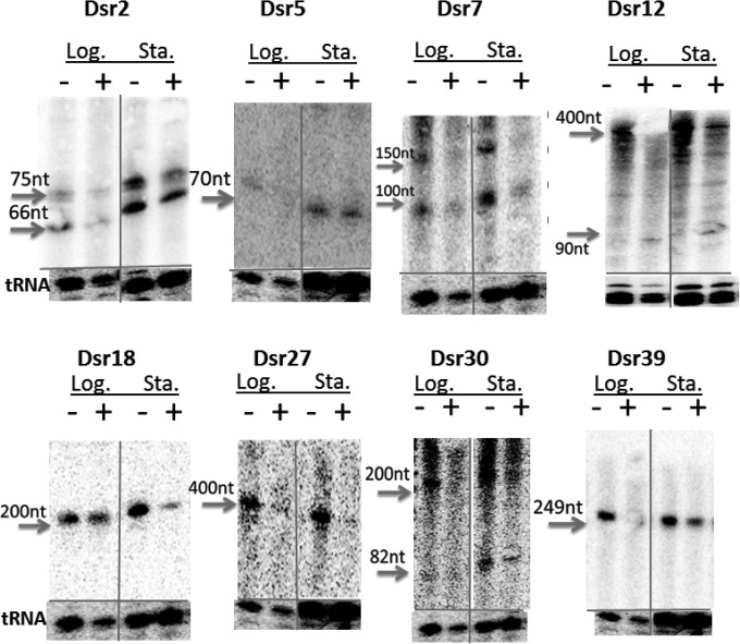 FIG 6