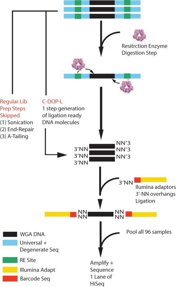 Figure 2.