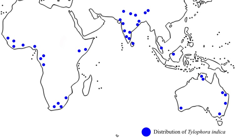 Fig. 1