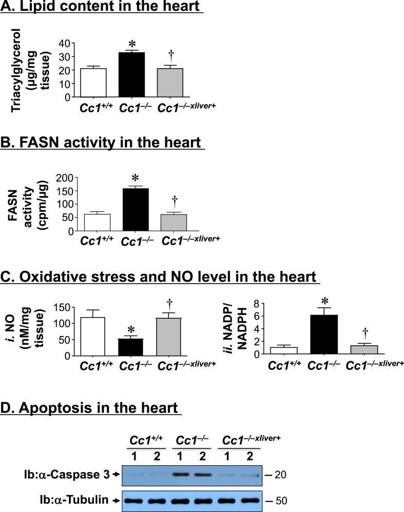 Figure 7