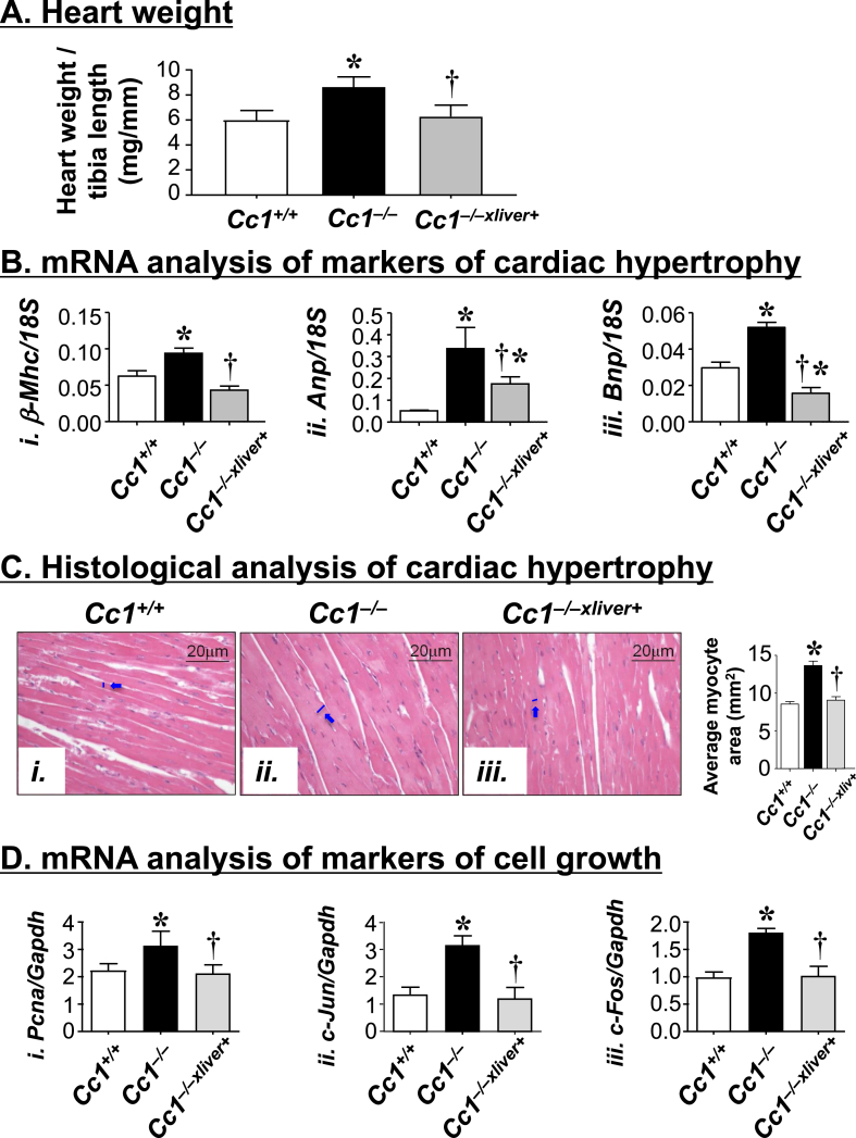 Figure 6