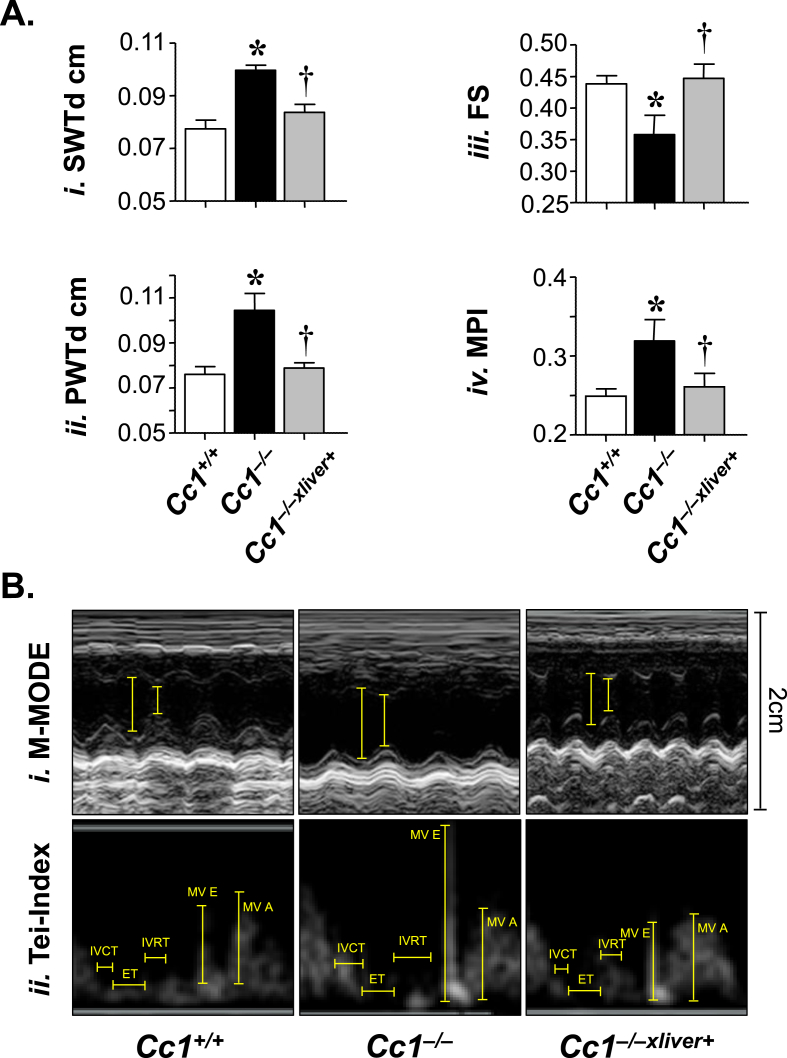 Figure 5