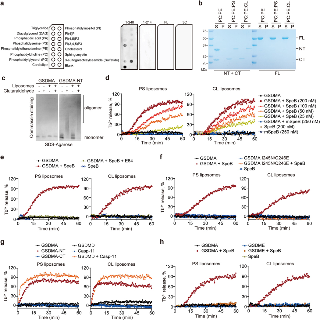 Extended Data Fig. 8 |