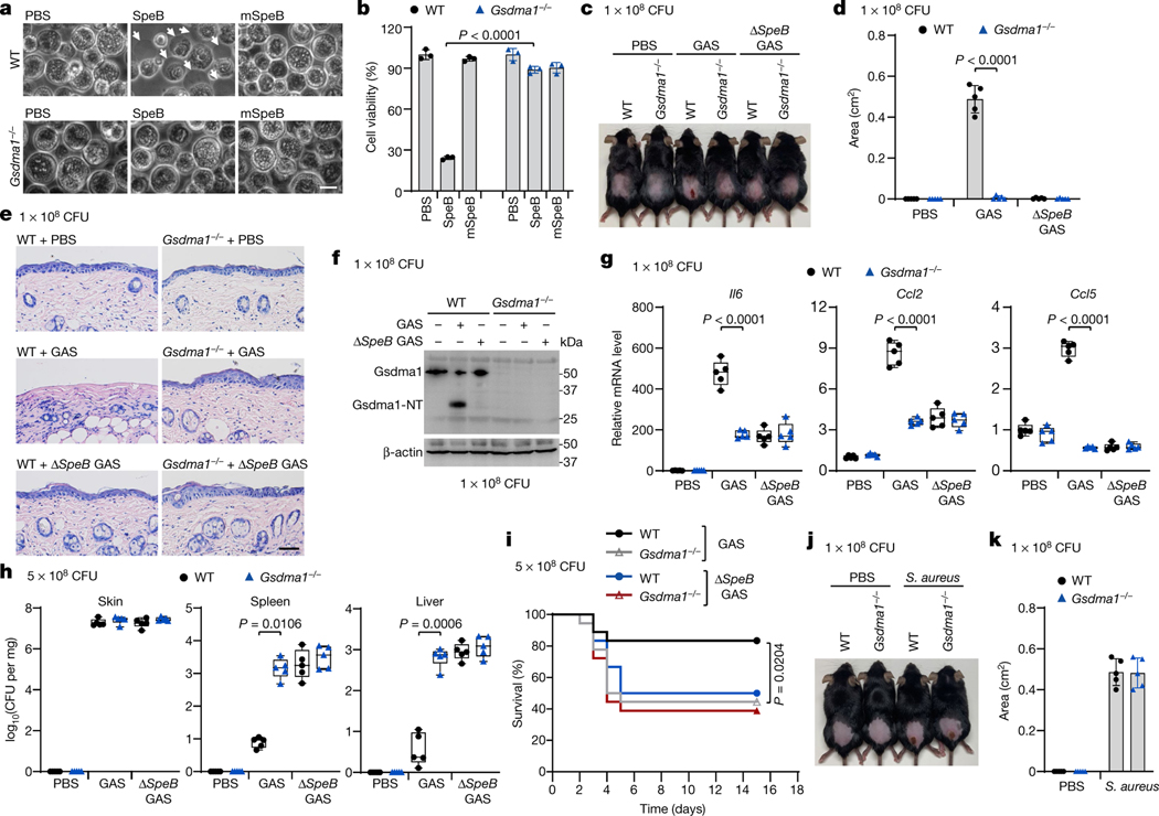 Fig. 4 |