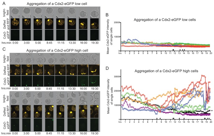 Figure 4—figure supplement 1.