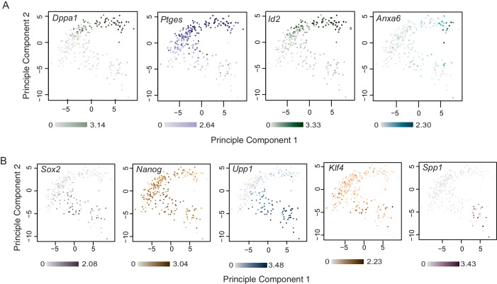 Figure 3—figure supplement 1.