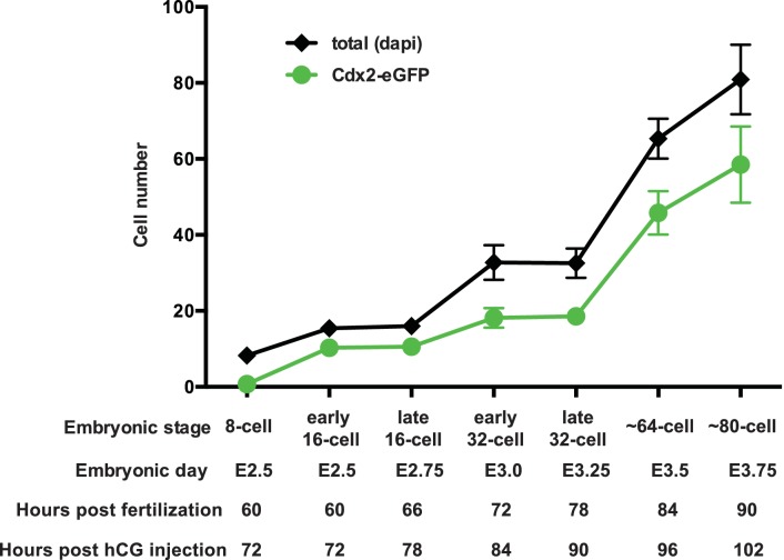 Figure 1—figure supplement 1.