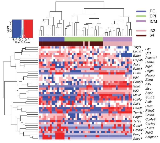 Figure 3—figure supplement 2.