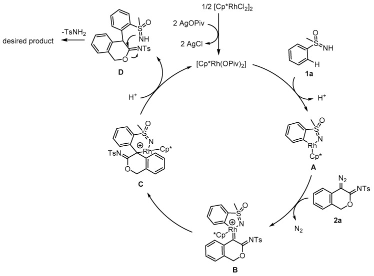 Scheme 4