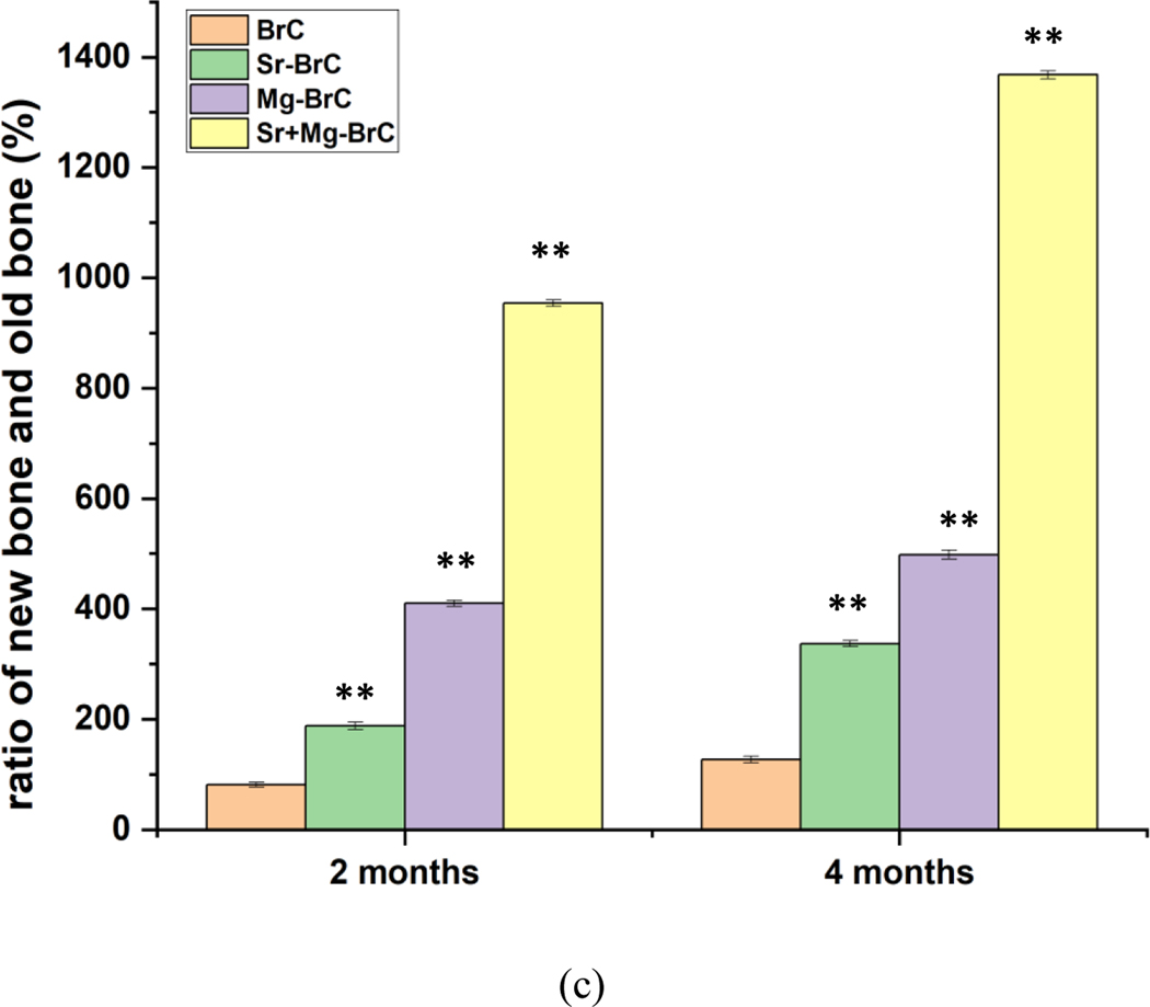 Fig. 7: