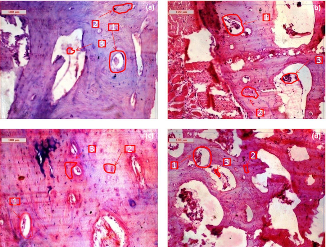 Fig. 5: