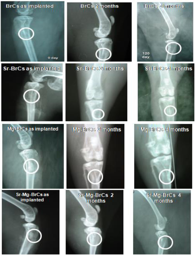 Fig. 3: