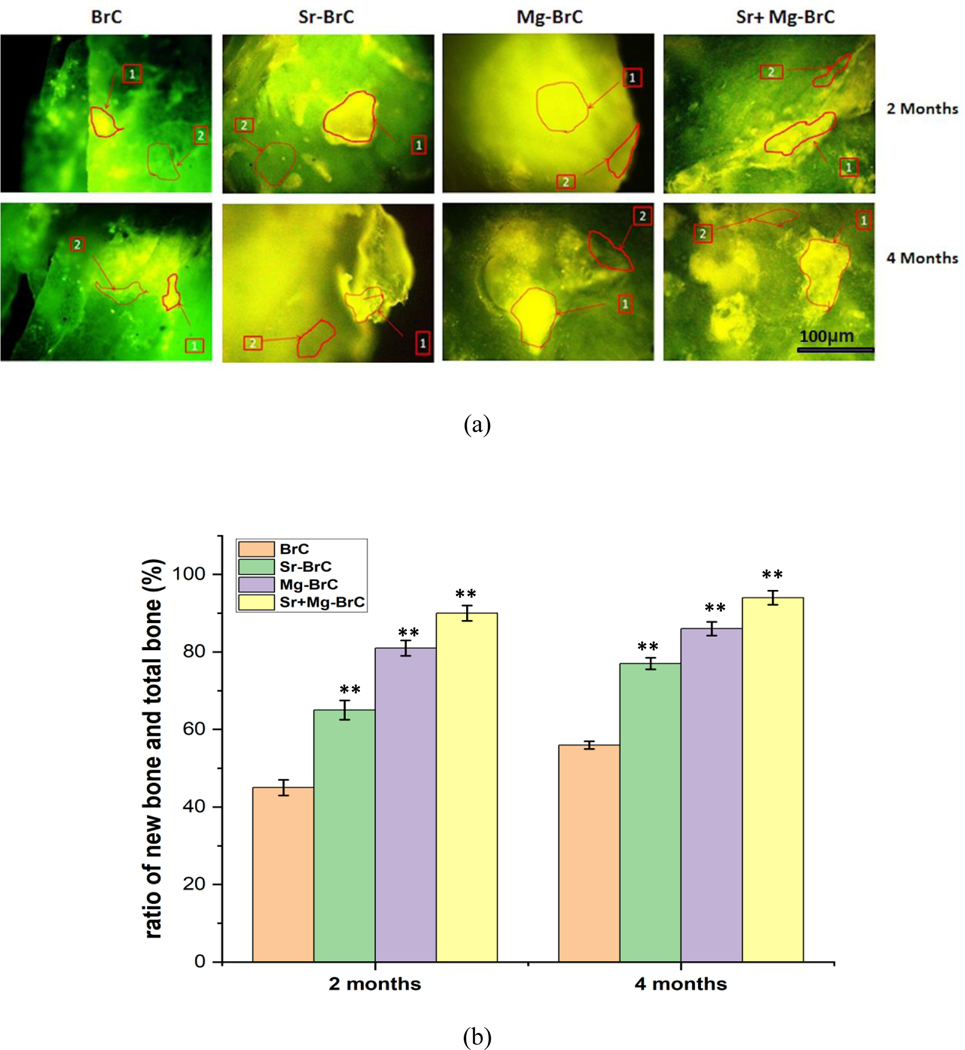 Fig. 7: