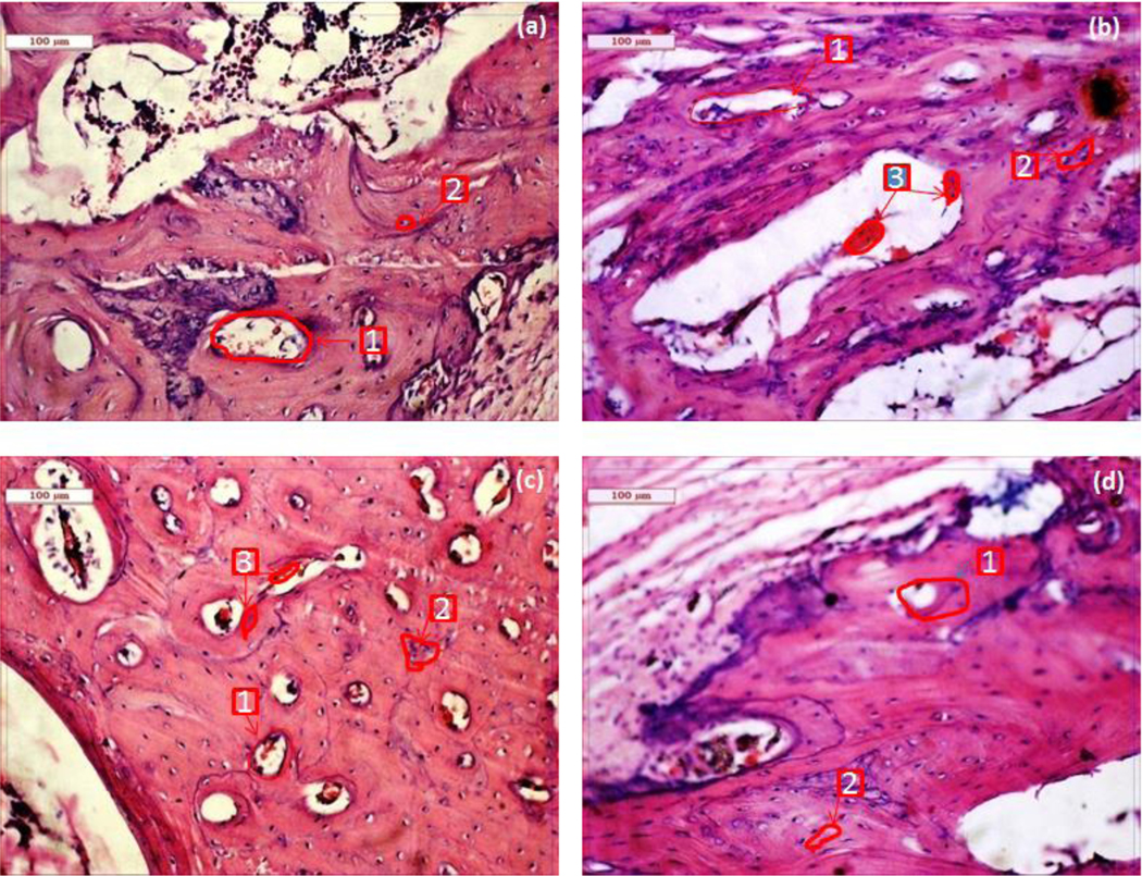 Fig. 4: