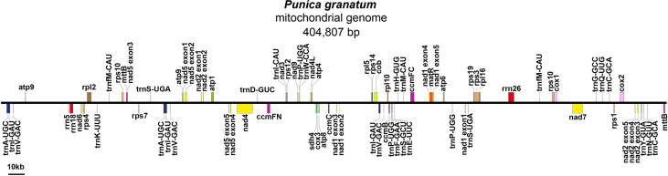 Figure 1