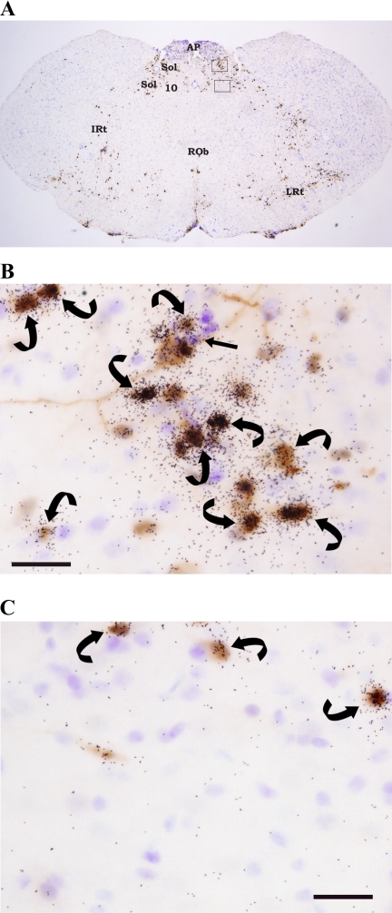 Fig. 5.