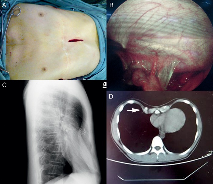 Figure 1: