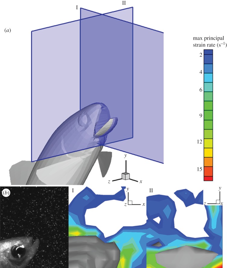 Figure 4.