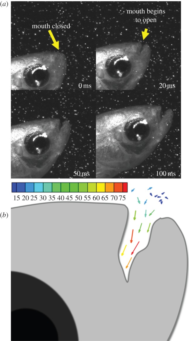 Figure 6.