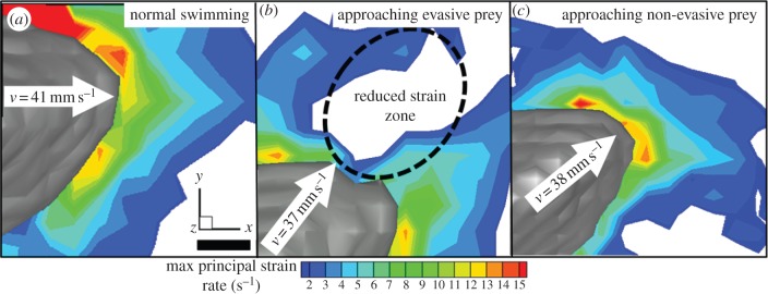 Figure 5.