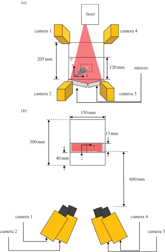 Figure 1.