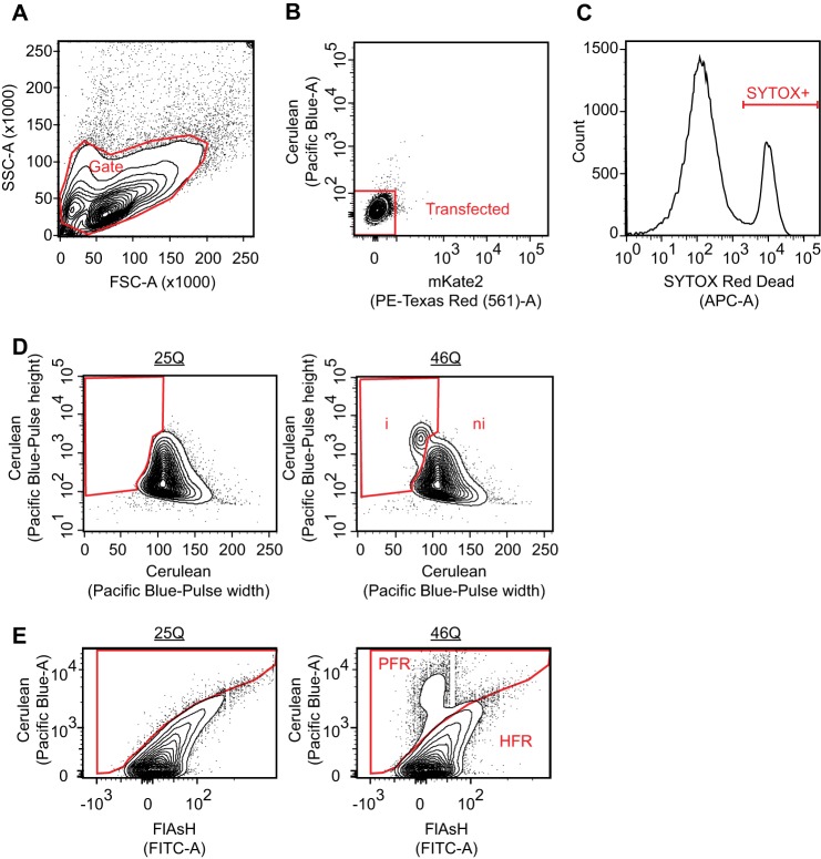 FIGURE 2.