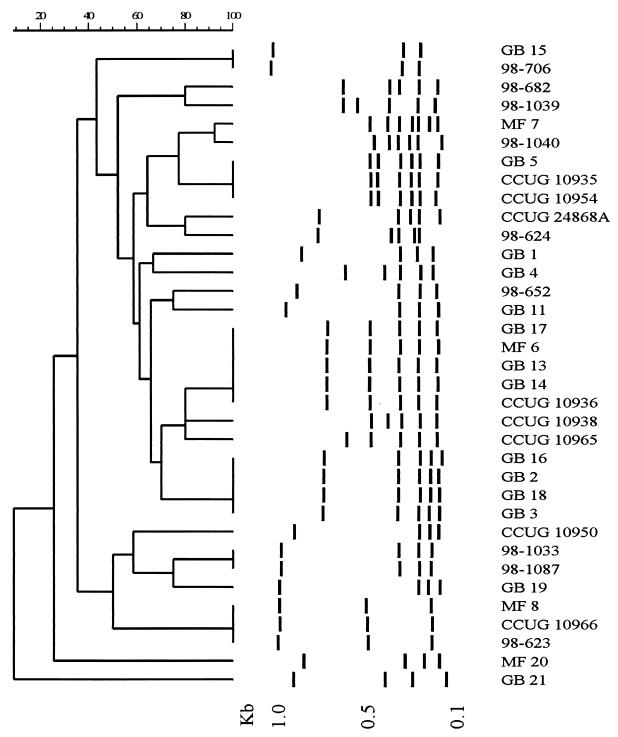 FIG. 1