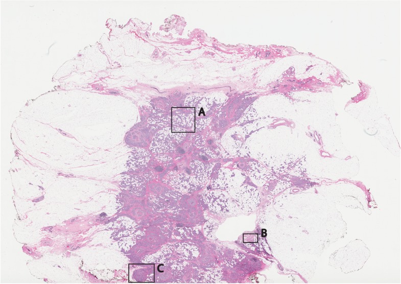 Fig. 10