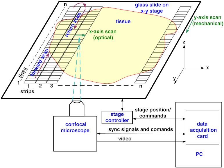 Fig. 2