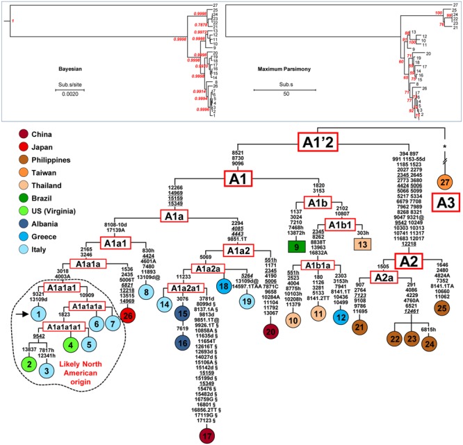 FIGURE 1