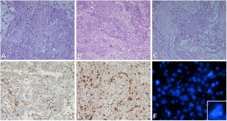 FIGURE 1