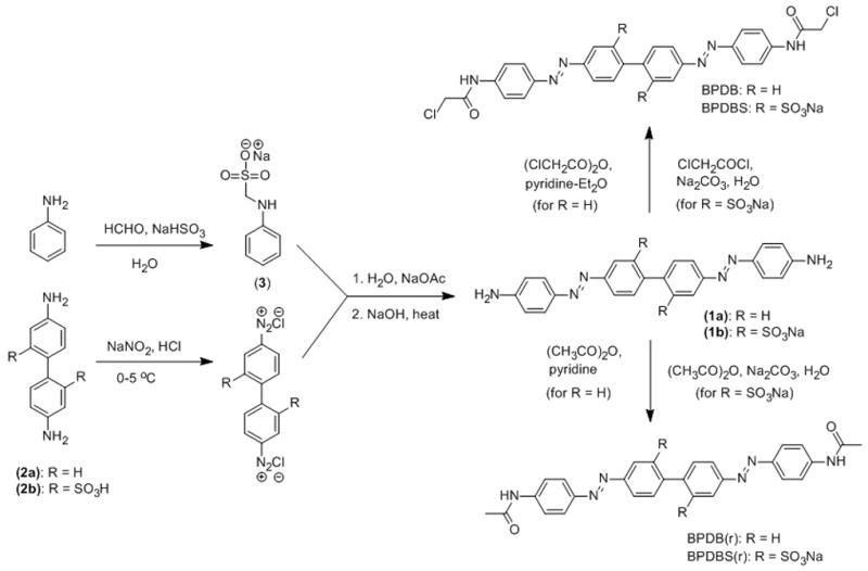 Scheme 2