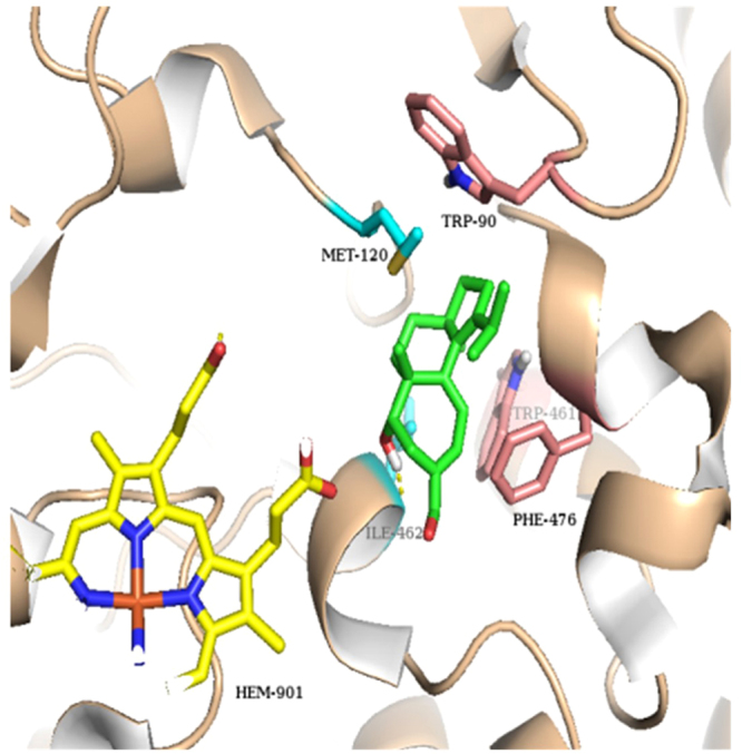 Figure 7