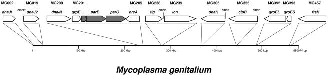 FIG. 1.