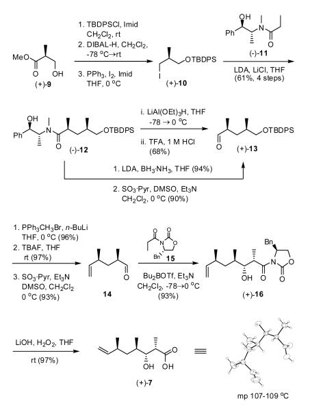 Scheme 2