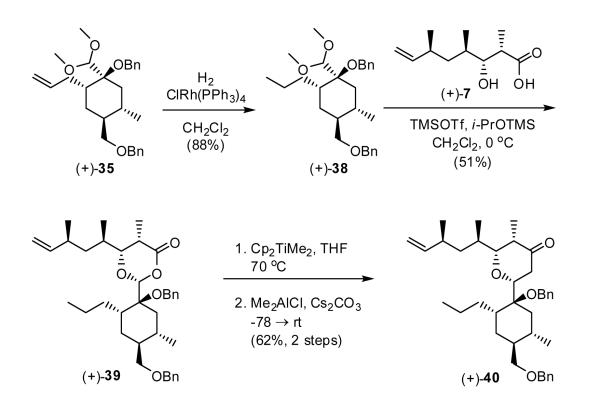 Scheme 7