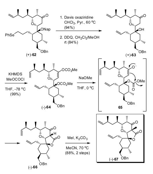 Scheme 13