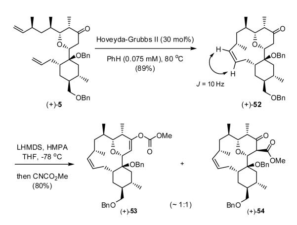 Scheme 10