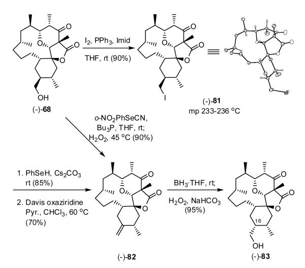 Scheme 18