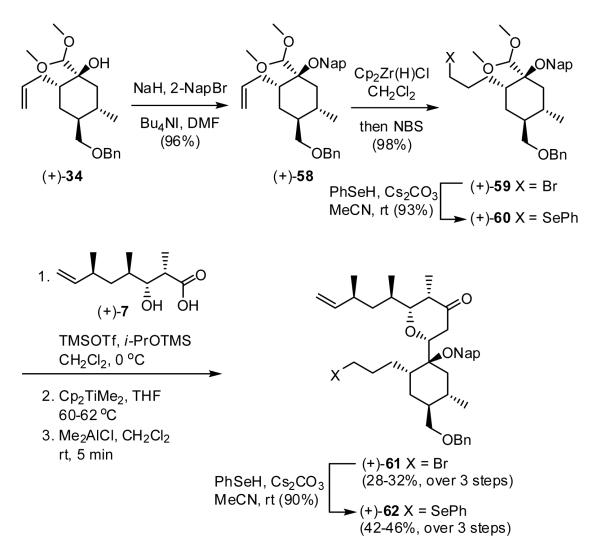 Scheme 12