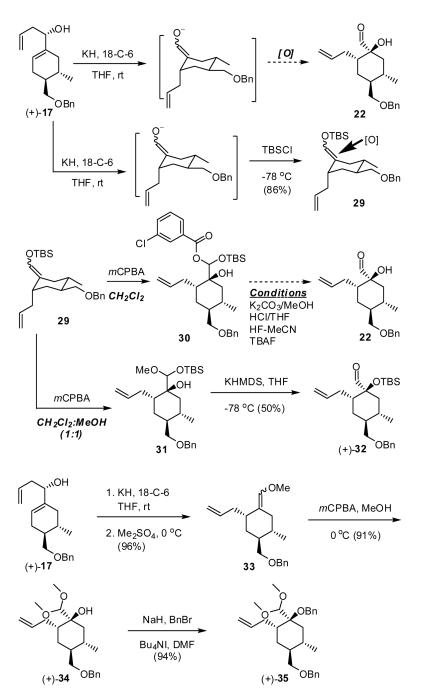 Scheme 5