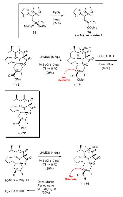 Scheme 15