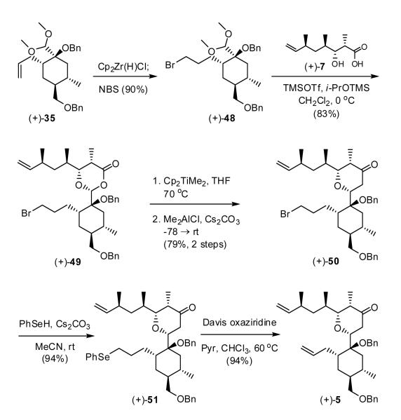 Scheme 9