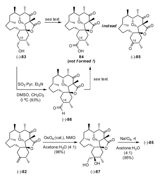 Scheme 19