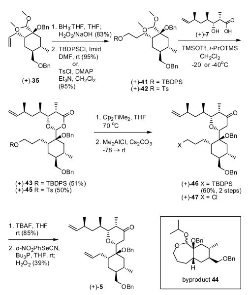 Scheme 8